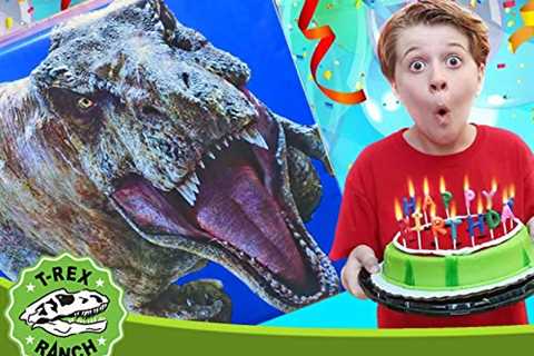 Dinosaur Toys for Birthday Party