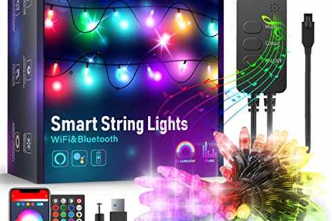 DreamColor Outdoor String Lights, Color Changing..