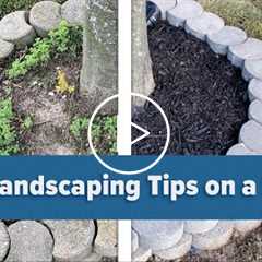 5 DIY Landscaping Tips on a Budget