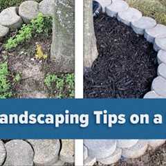5 DIY Landscaping Tips on a Budget