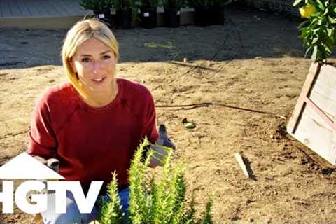 Front Yard Design Tips From Jasmine Roth | Hidden ..