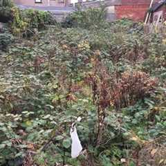 Abandoned London Garden Complete Transformation..